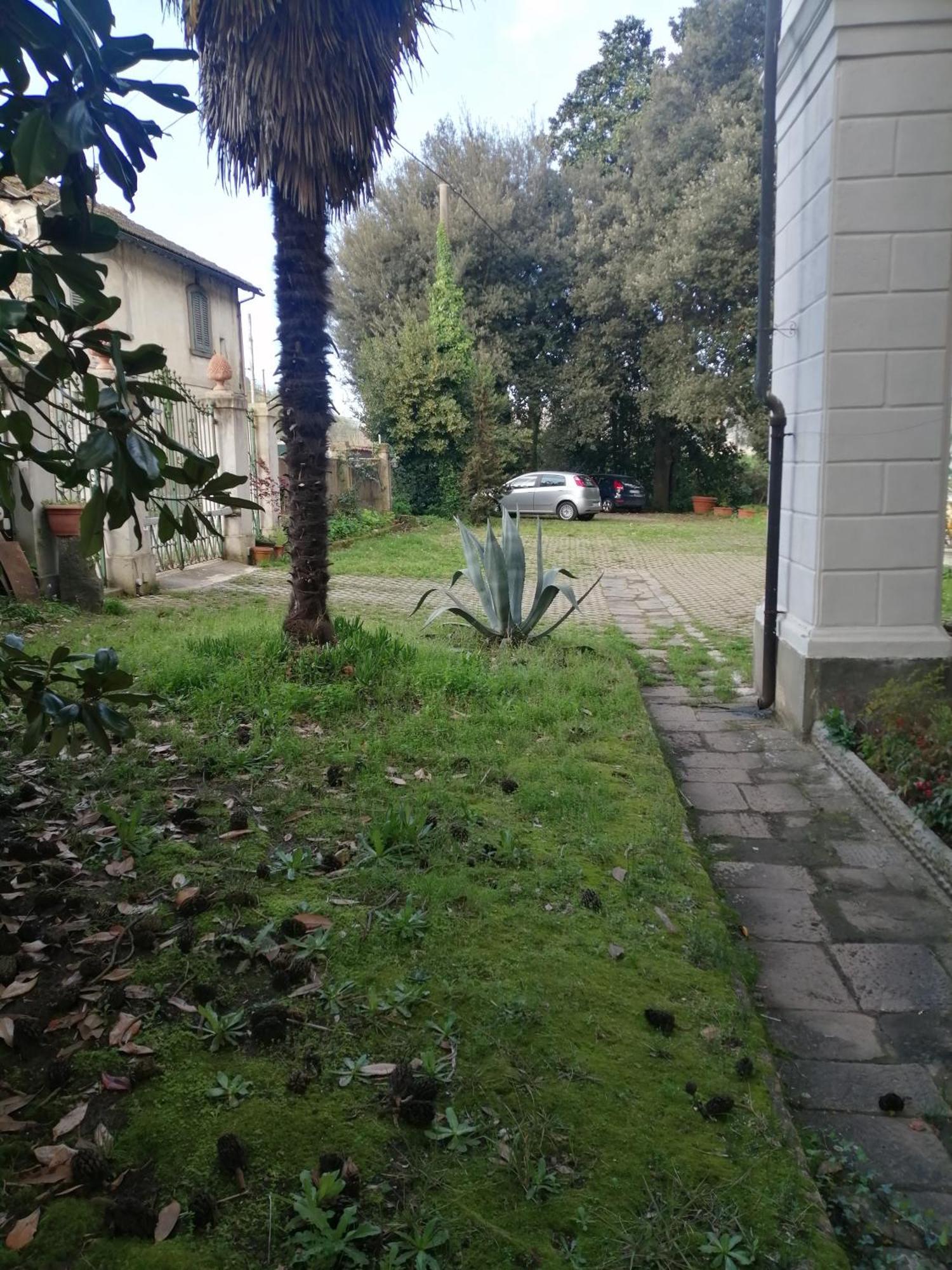 La Dogana 2*