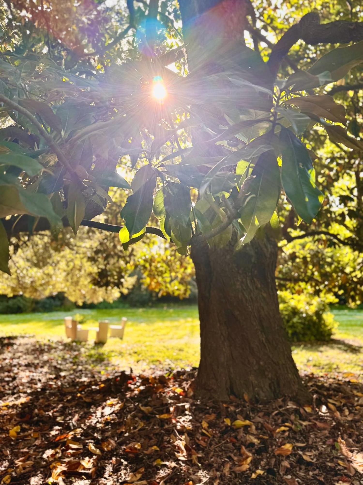 La Dogana Frühstückspension Lucca